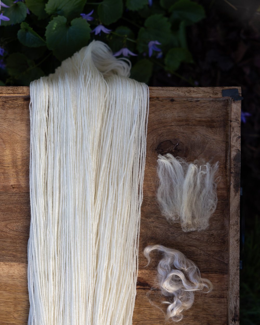 Unwound skein of undyed yarn with representative samples of the fiber contained in the yarn: merino wool and mohair. 