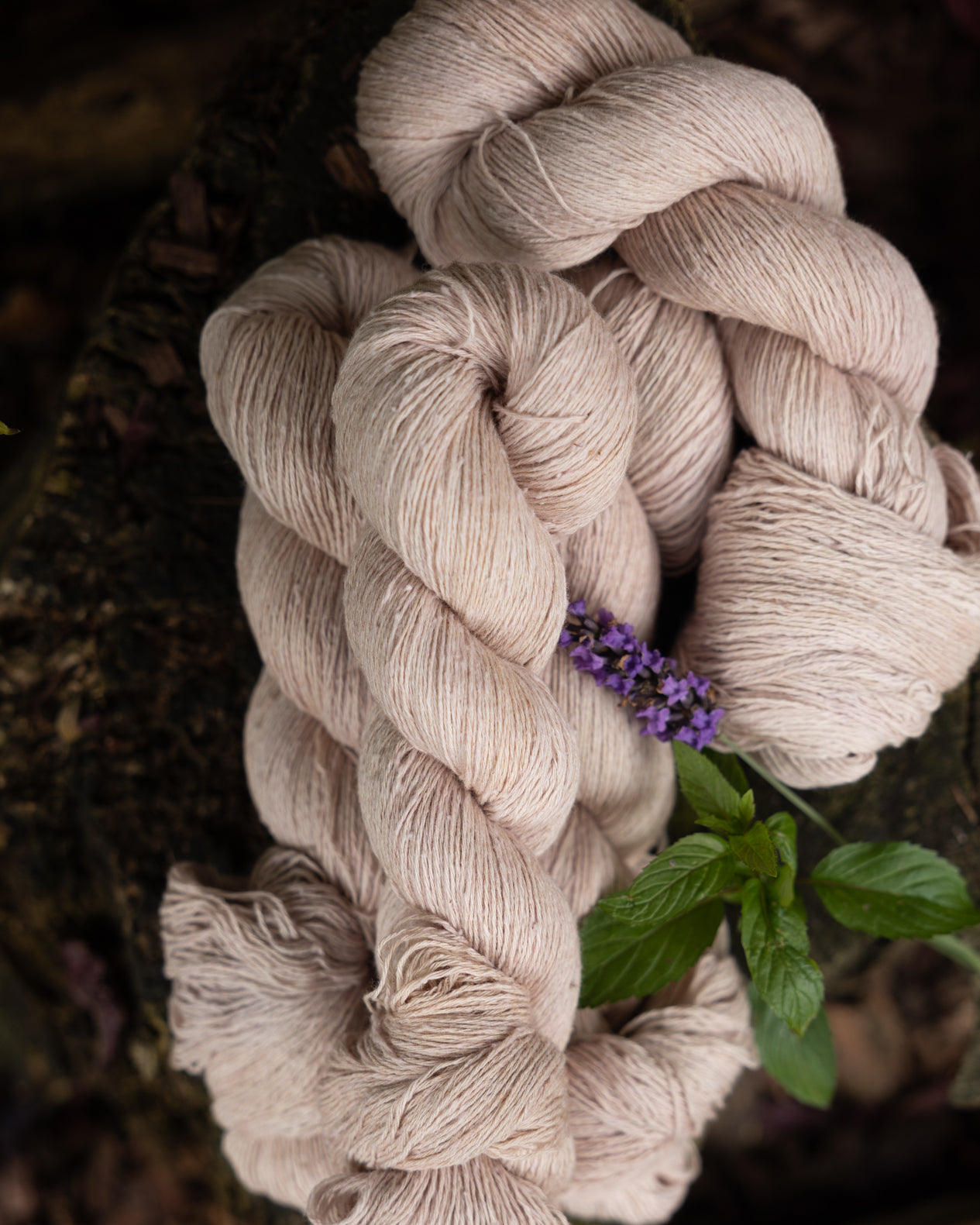 Dogwood | Dolce cotton/wool