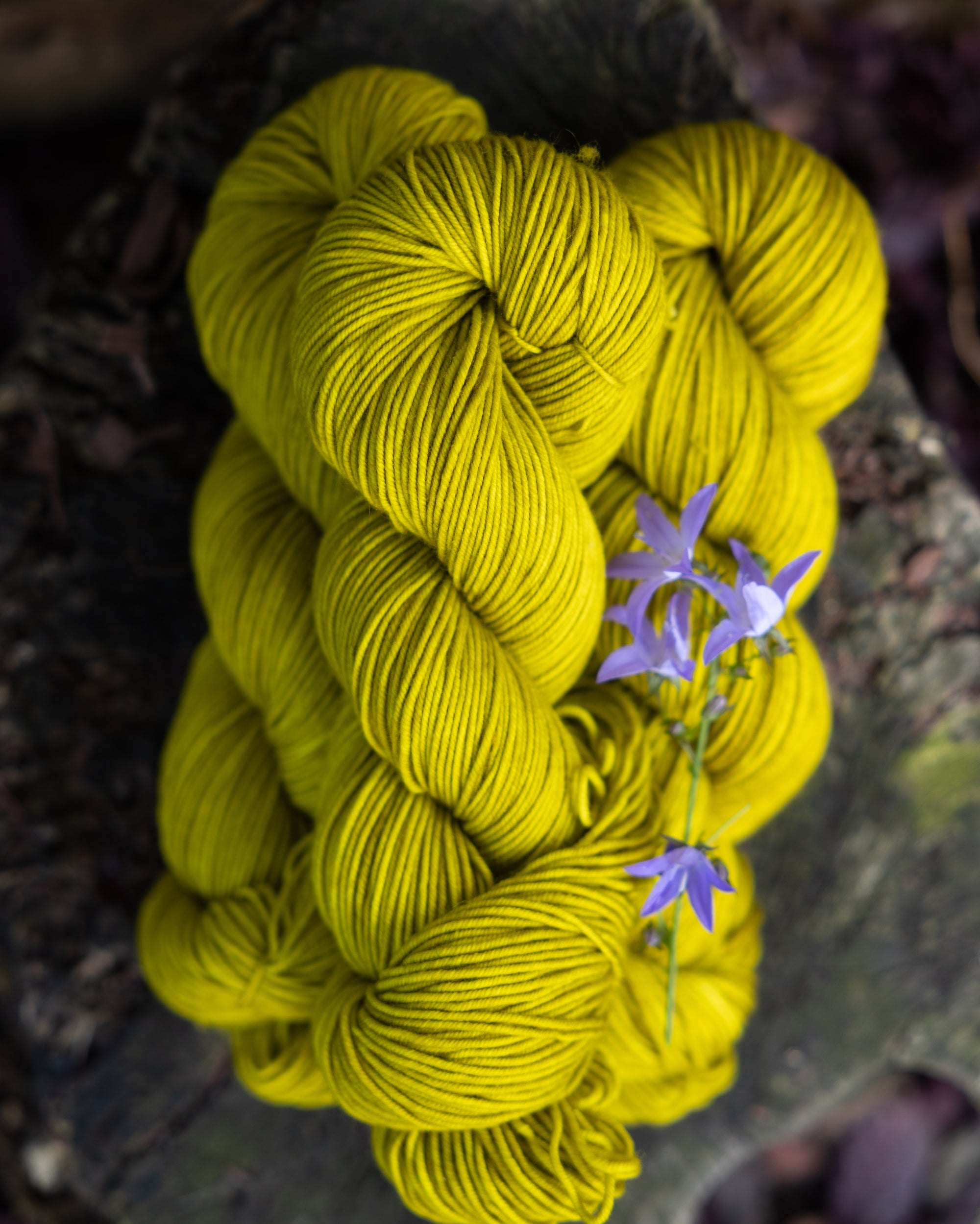 Merino-Rambouillet DK | Wardrobe Essentials colorways