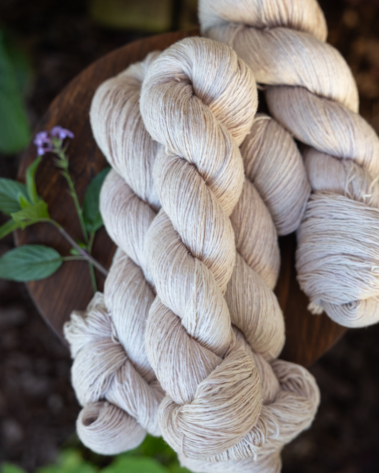Queen Anne's Lace | Dolce cotton/wool