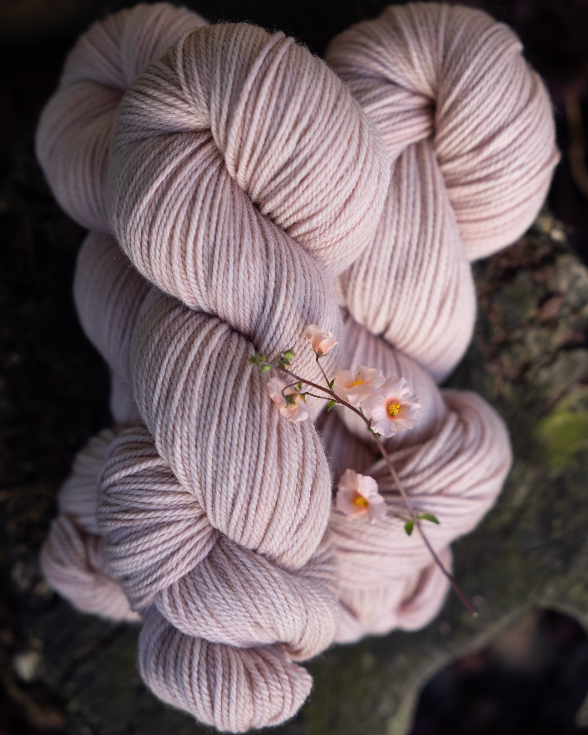 Targhee Worsted | Wardrobe Essentials colorways