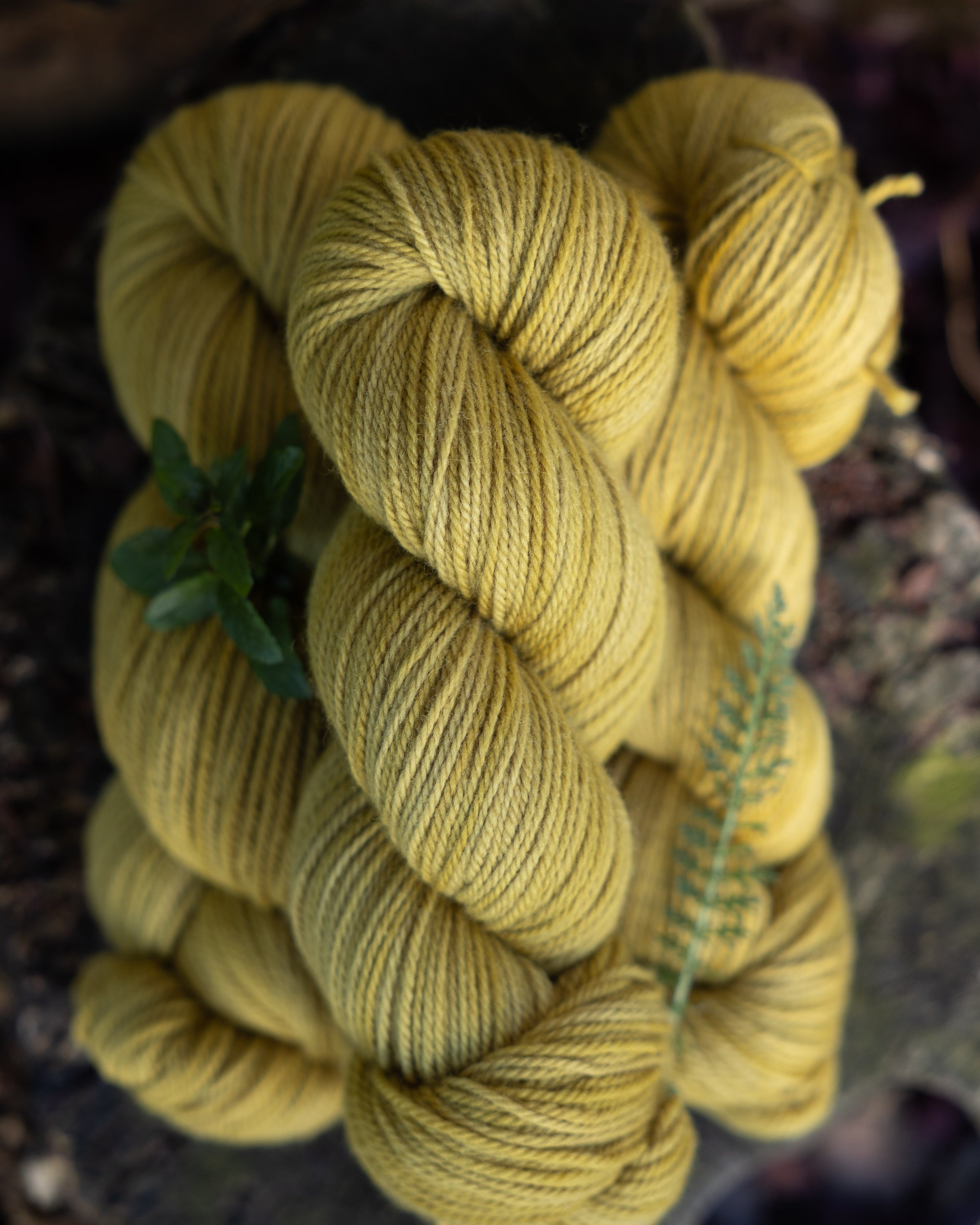 Targhee Worsted | Wardrobe Essentials colorways