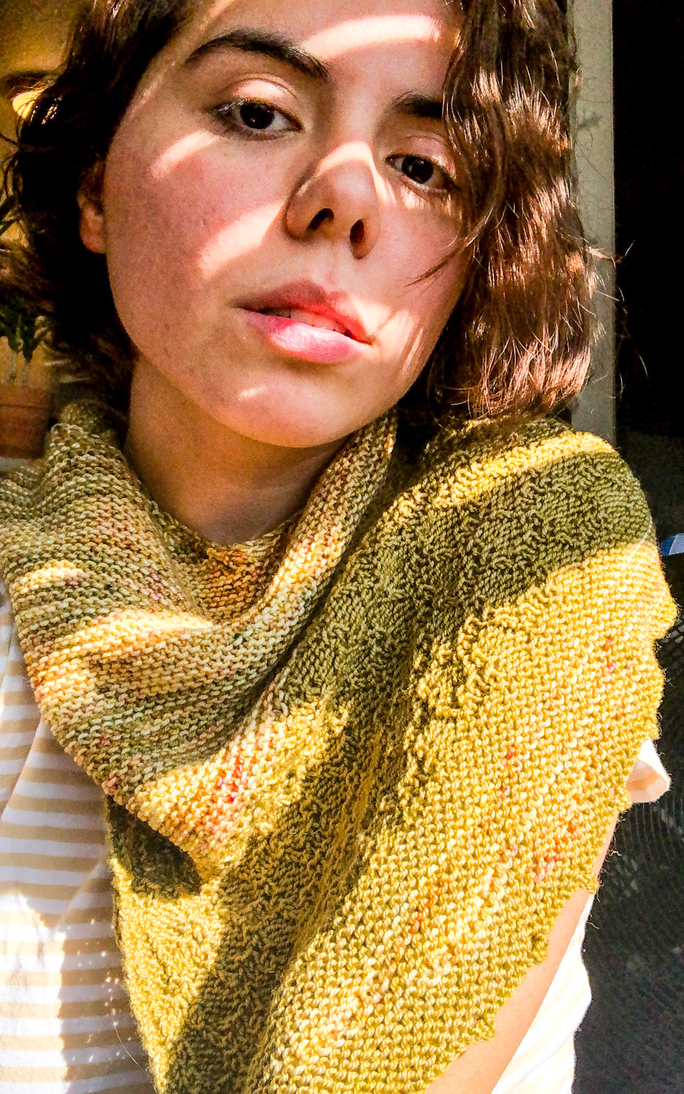 Lichen shawl pattern